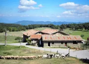Mas El Coll rural house 6